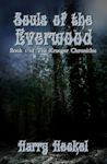 Souls of the Everwood cover