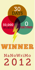 Nanowrimo Winner
